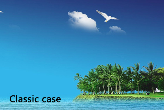 Classic Case