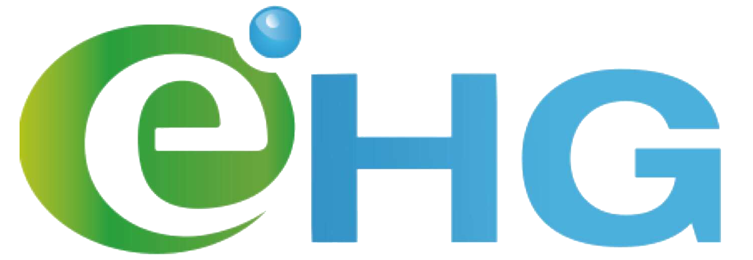 eHomeGuru LLC